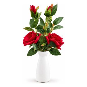 🌹 Premium Single Rose Set